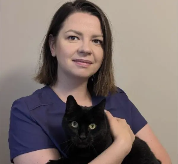 Aleksandra Peksa, Like a Pet Katowice