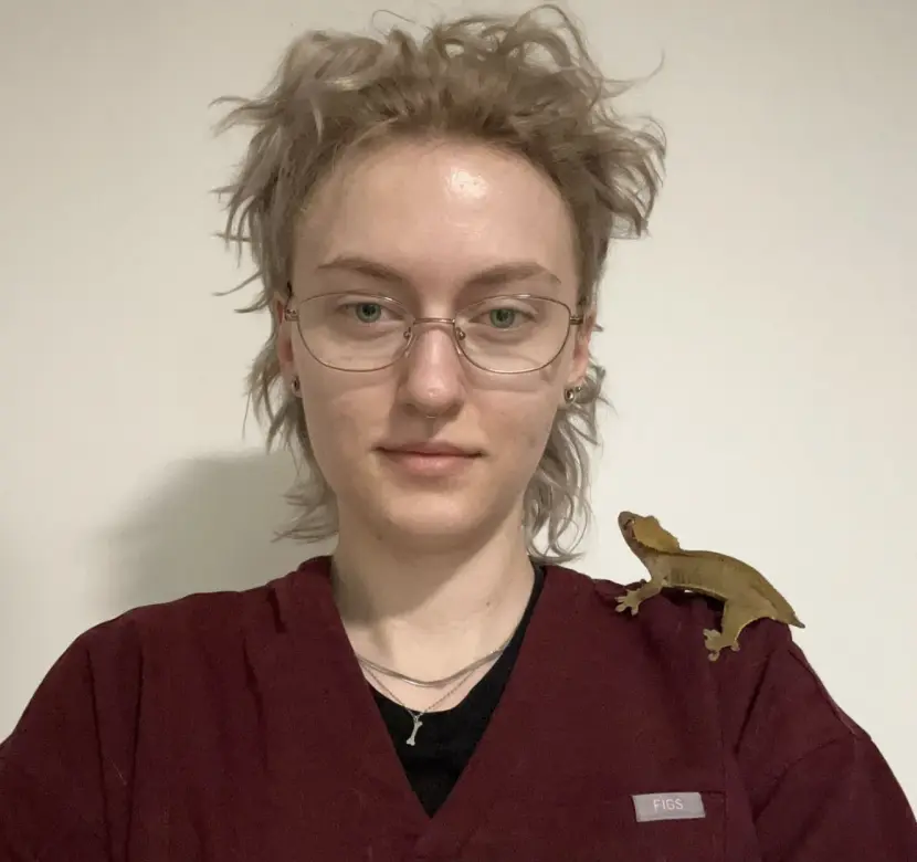 Emilia Biały, Like a Pet Katowice