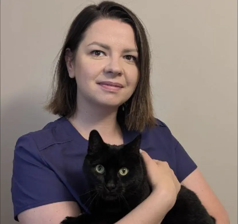 Aleksandra Peksa, Like a Pet Katowice